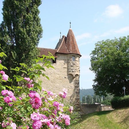 Weingut Gaestehaus Weigand イプホーフェン エクステリア 写真