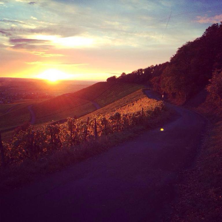 Weingut Gaestehaus Weigand イプホーフェン エクステリア 写真
