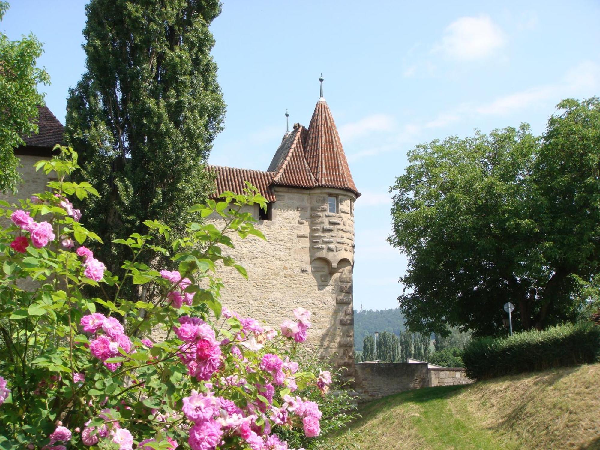 Weingut Gaestehaus Weigand イプホーフェン エクステリア 写真