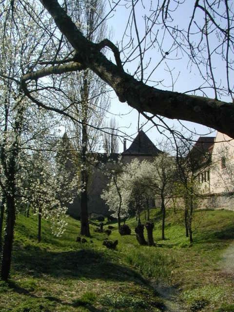 Weingut Gaestehaus Weigand イプホーフェン エクステリア 写真
