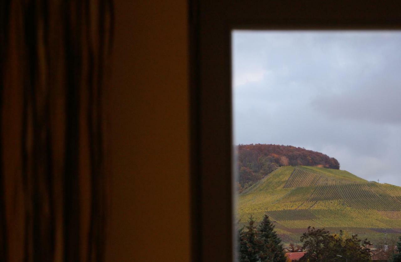 Weingut Gaestehaus Weigand イプホーフェン エクステリア 写真